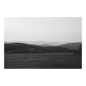 Foggy Gradient of Grain