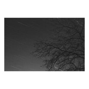 Star Trails in Black and White