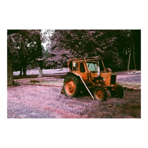 Red Tractor Amidst Purple Field