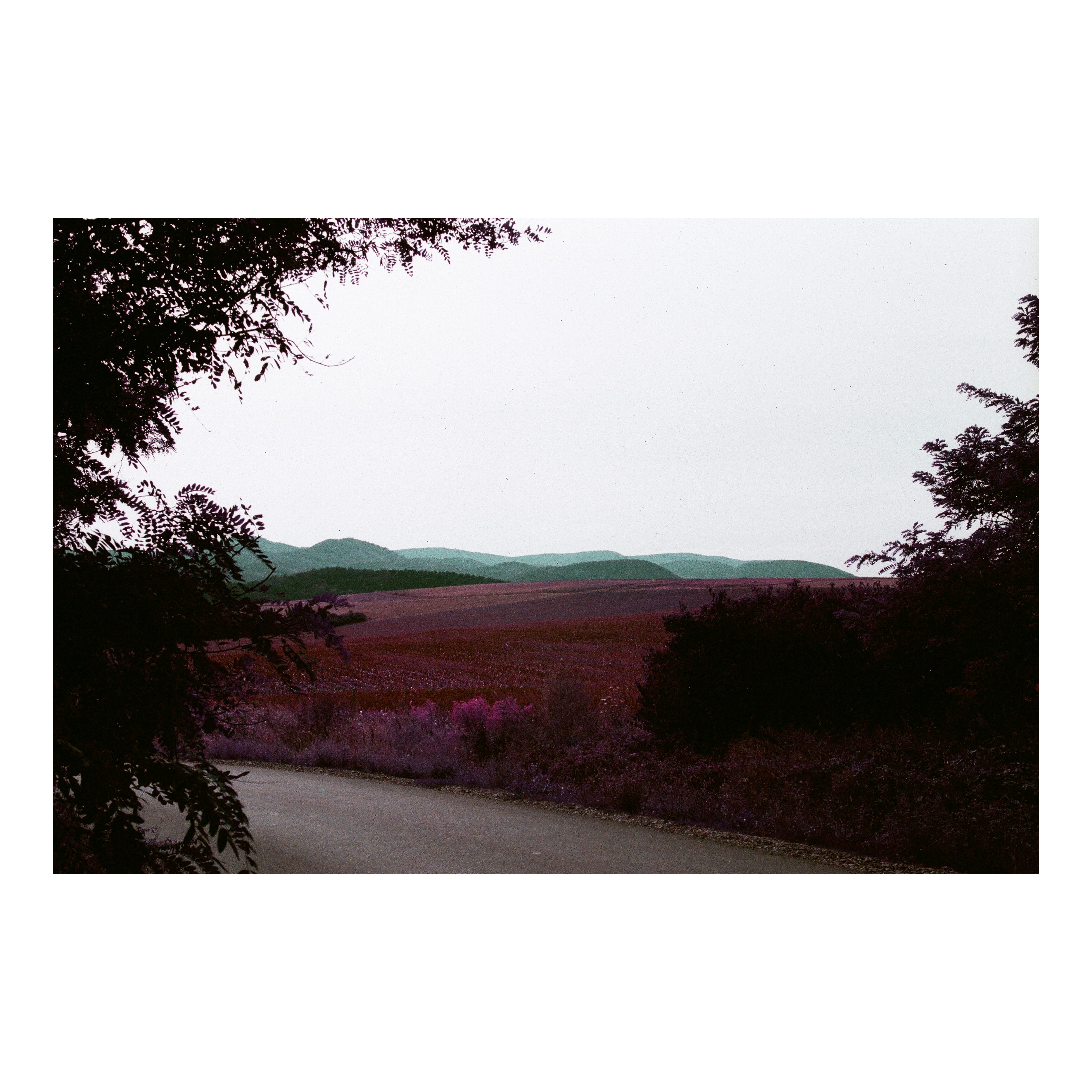 Other-worldly Mountain Range