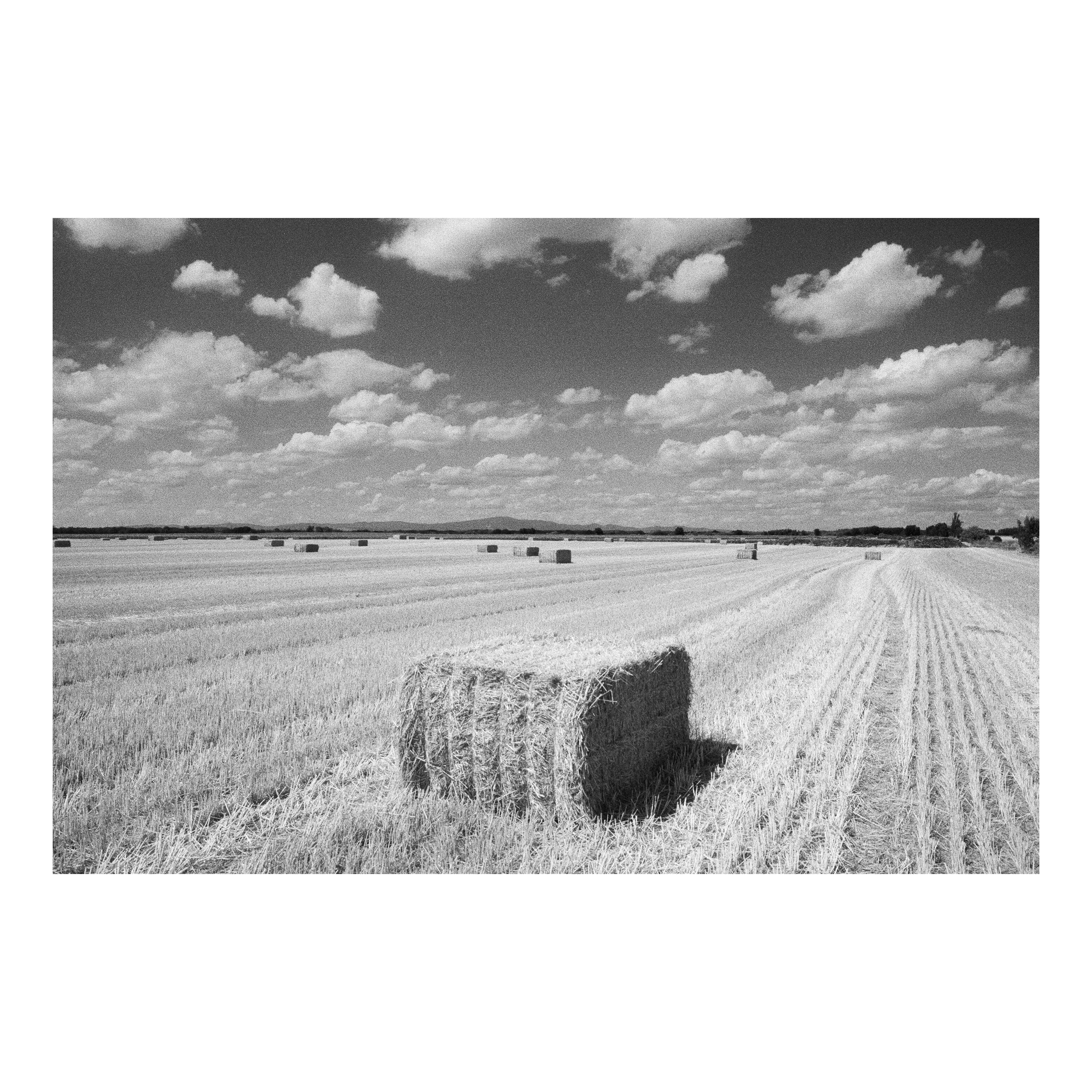 Field of What Used To Be